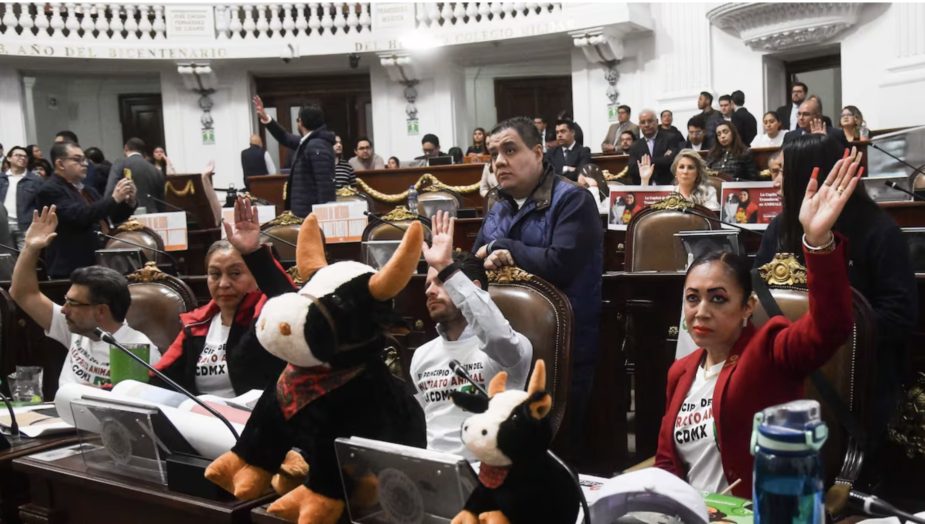 Corridas de toros sin violencia son oficiales: Congreso de la CDMX aprueba iniciativa de Brugada
